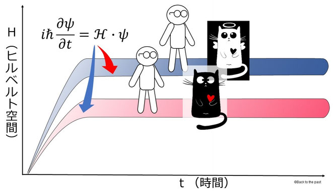 多世界解釈でのシュレディンガーの猫