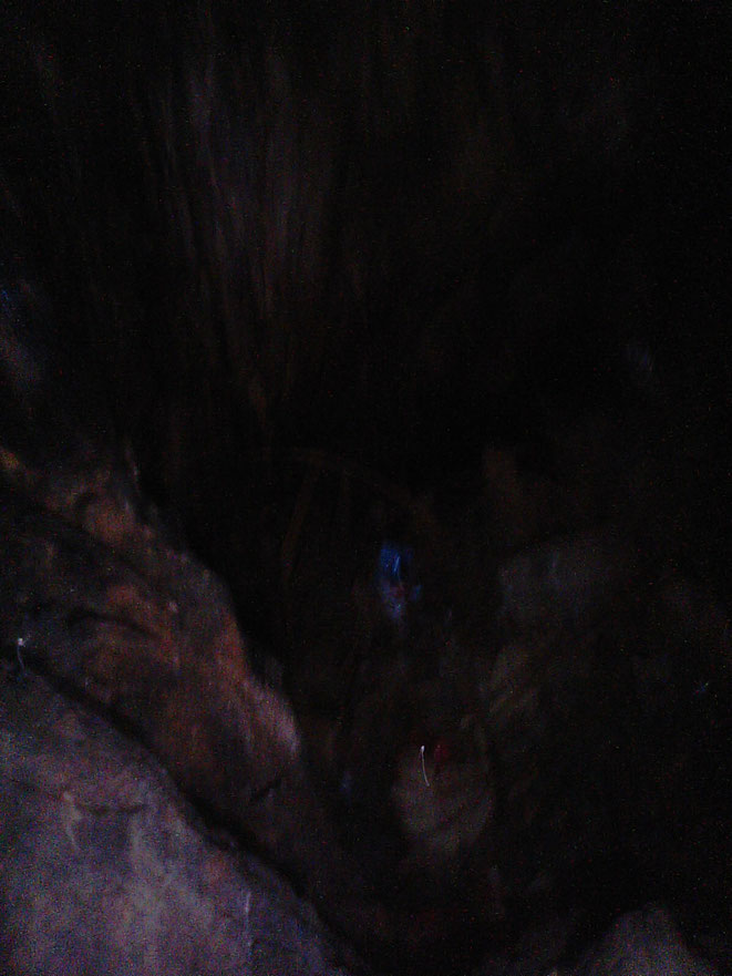 異世界の「狭間の小人」の写真(元)(新・時空のおっさんまとめ @ ウィキより)