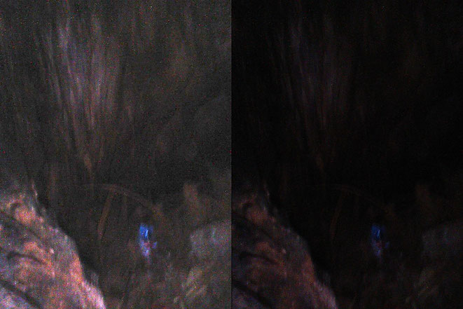 カッチナの新たな写真1(右元画像・左BTTP露出調整/新・時空のおっさんまとめ @ ウィキより)