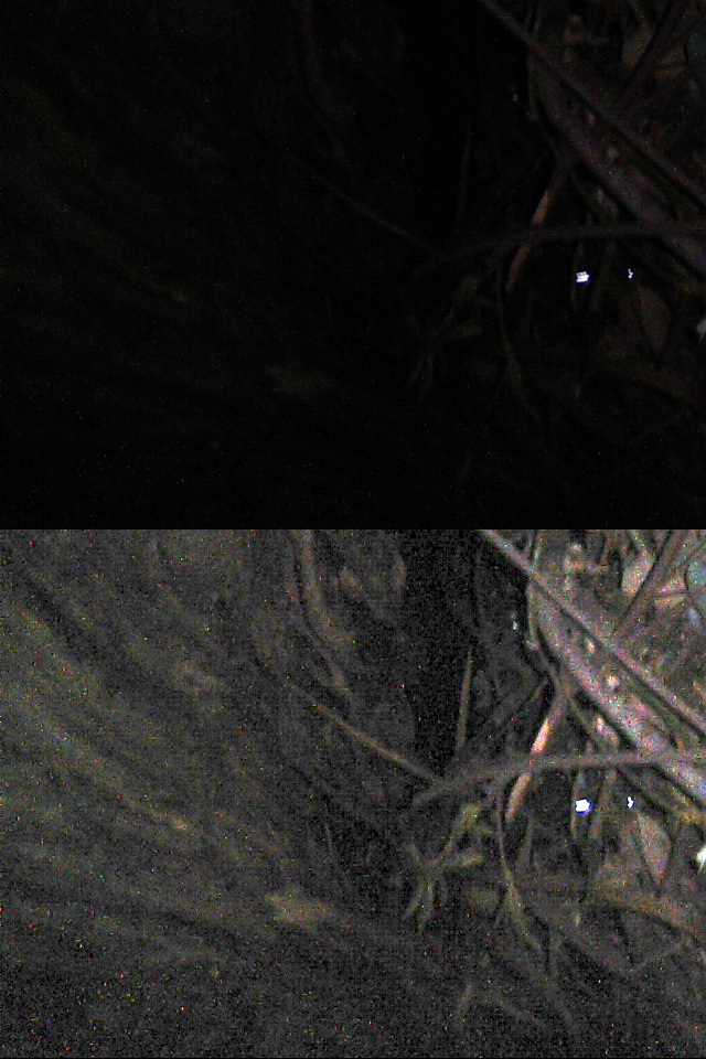 カッチナの新たな写真2(上元画像・BTTP露出調整/新・時空のおっさんまとめ @ ウィキより)