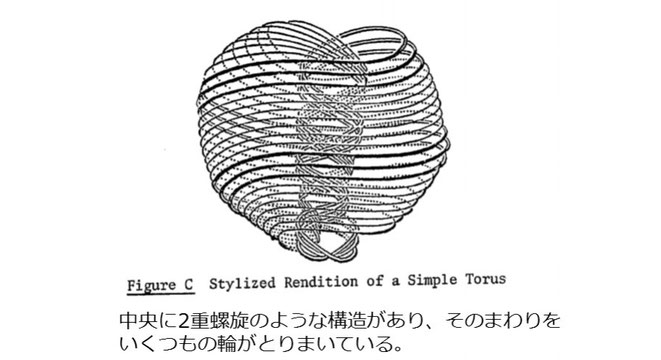 シンプルなトーラスレンダリング(マクドネル・リポートより)